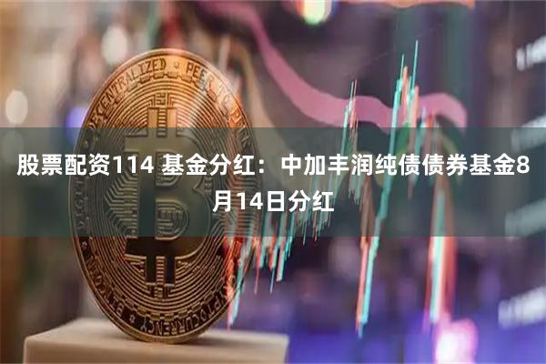 股票配资114 基金分红：中加丰润纯债债券基金8月14日分红