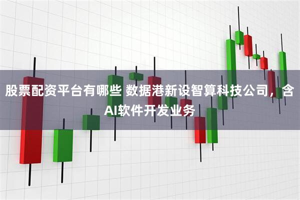 股票配资平台有哪些 数据港新设智算科技公司，含AI软件开发业务